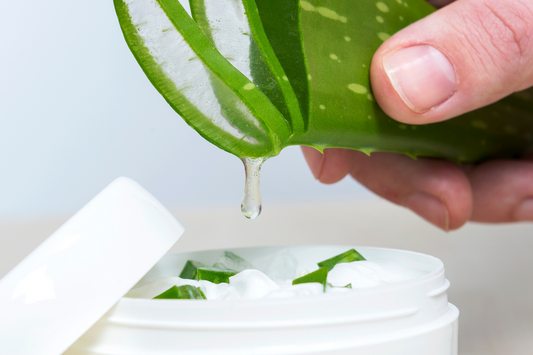 Neue Behandlung | Aloe Vera Splash